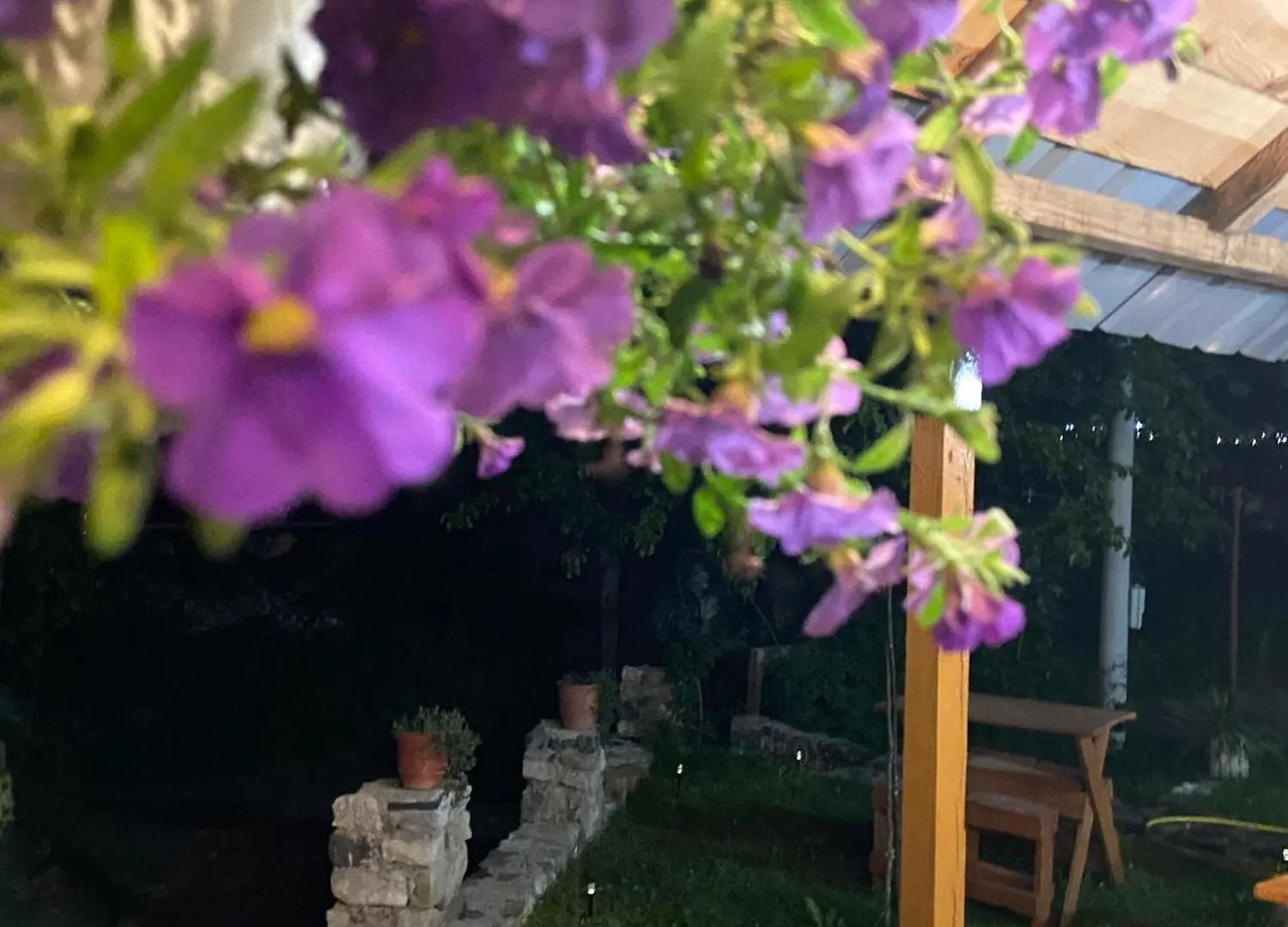 טת Guesthouse Kujtimi 0*,  אלבניה